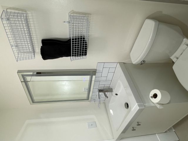 Lavatory and mirror