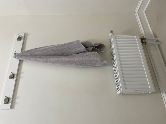 Toilet and basket storage